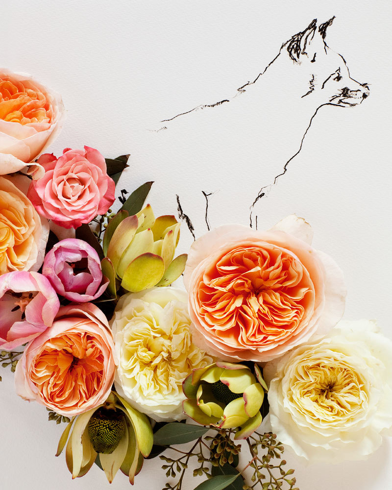 Creative Still Life Photography from Kari Herer - Fox and Flower on Etsy http://www.etsy.com/shop/kariherer