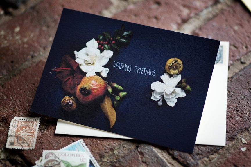 Creative Still Life Photography from Kari Herer - Fox and Flower on Etsy http://www.etsy.com/shop/kariherer