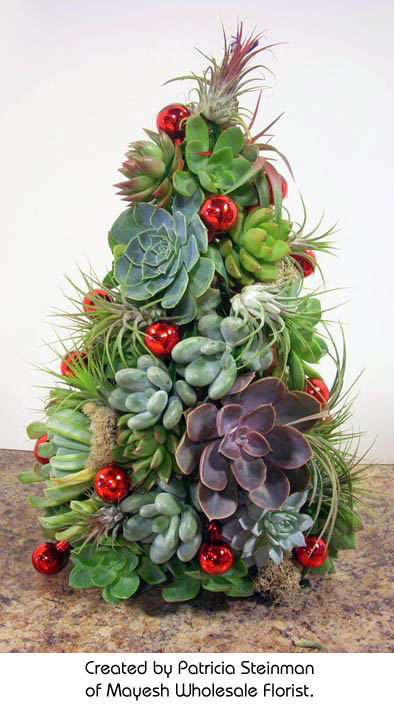 Succulent Tree created by Patricia Steinman http://www.mayesh.com/Blog/tabid/67/EntryId/229/Succulent-Airplant-Christmas-Tree.aspx