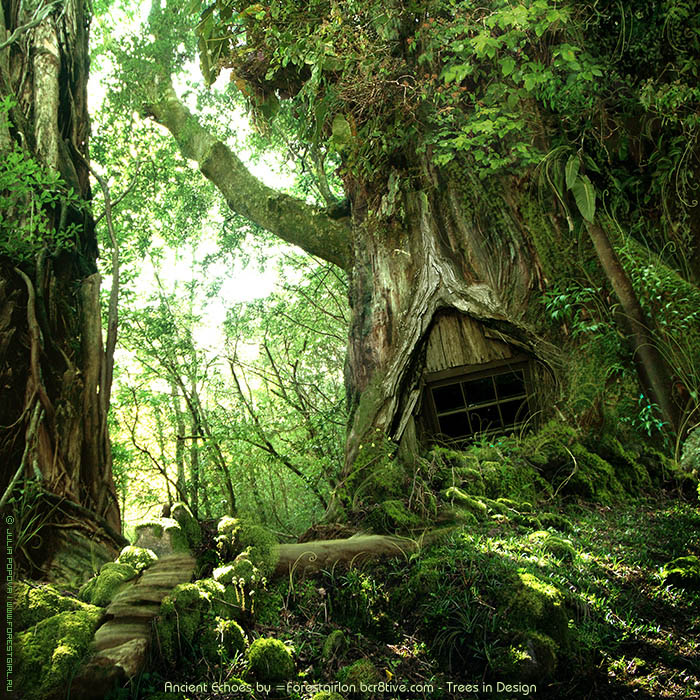 Ancient Echoes by =Forestgirl http://forestgirl.deviantart.com/