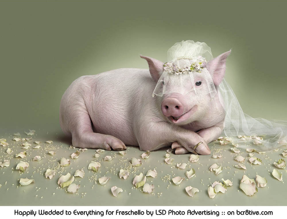 Happily Wedded to Everything for Freschello by LSD Photo Advertising Studio