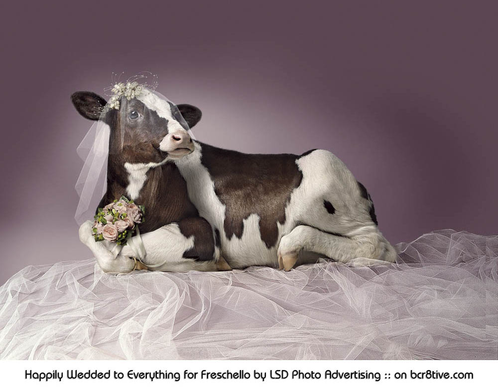 Happily Wedded to Everything for Freschello by LSD Photo Advertising Studio