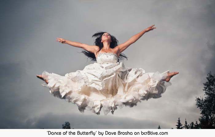 Dance of the Butterfly - Dave Brosha