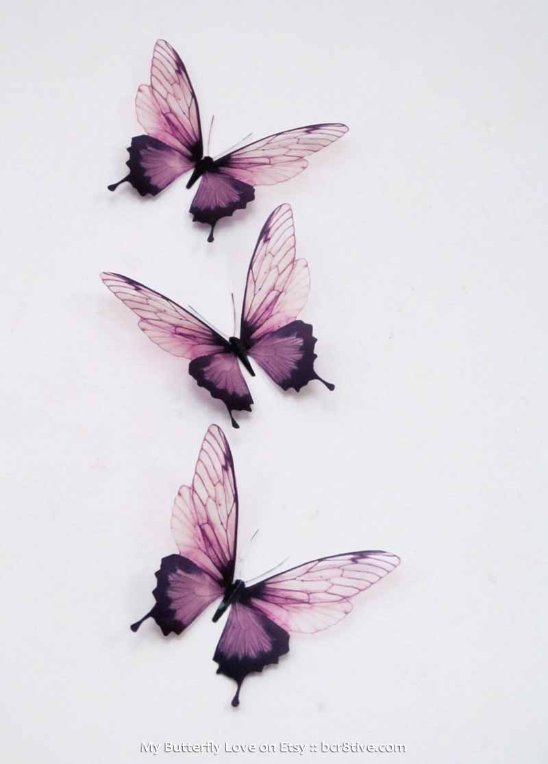 Butterfly Wall Art by MyButterflyLove on Etsy