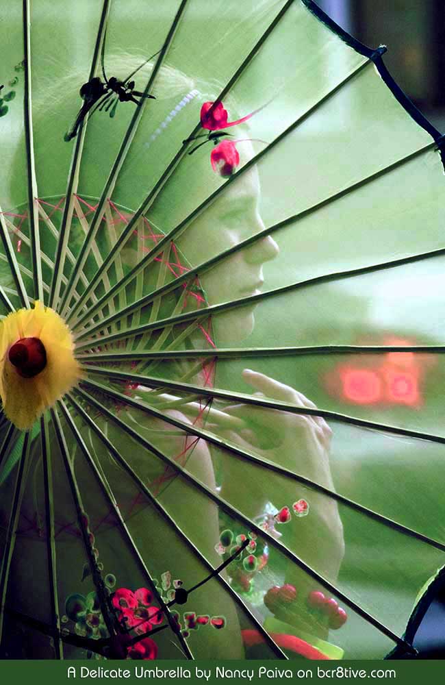 A Delicate Umbrella by Nancy Paiva
