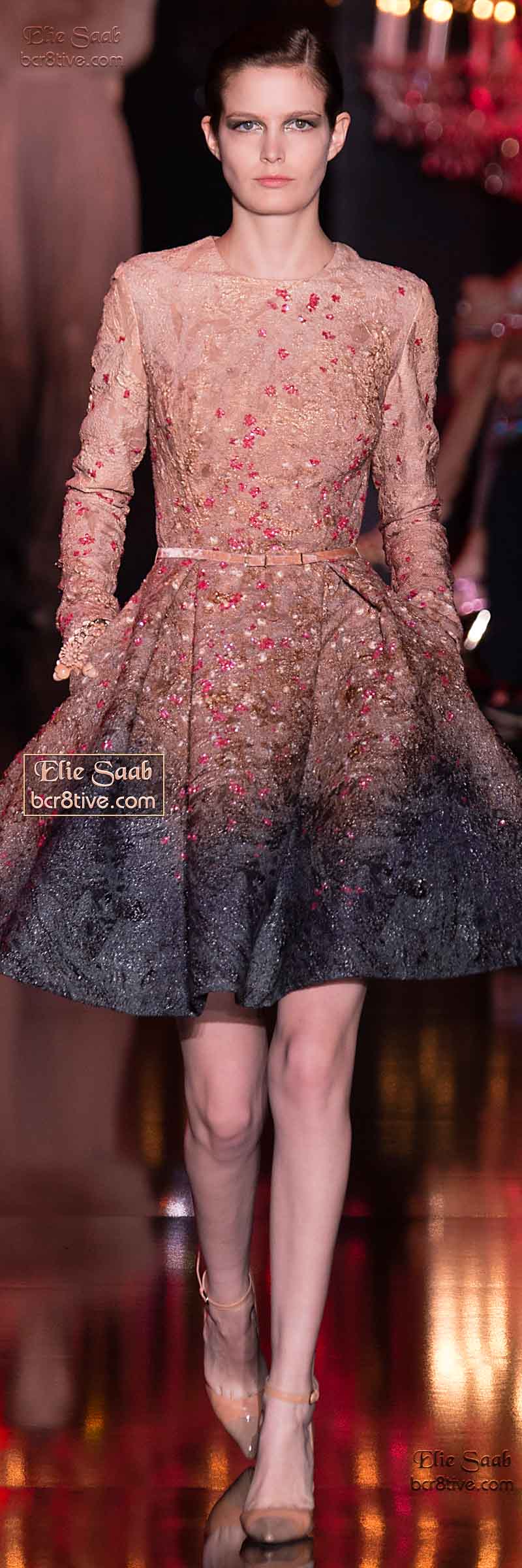 Elie Saab Fall Winter 2014-15 Haute Couture