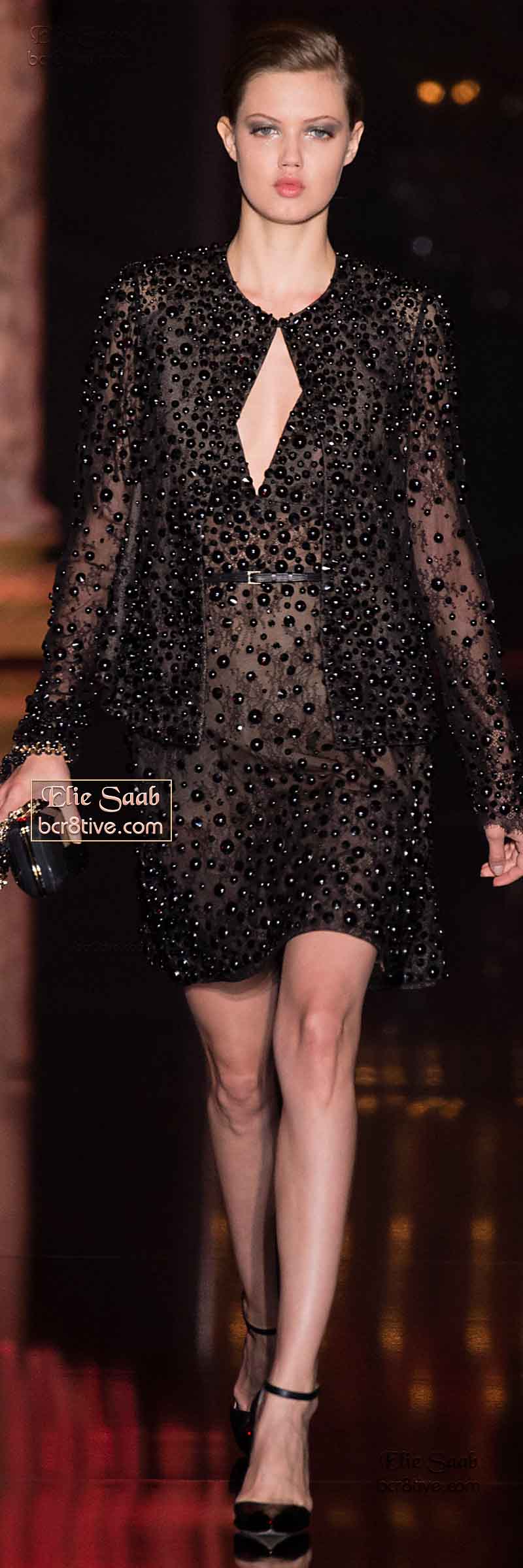 Elie Saab Fall Winter 2014-15 Haute Couture