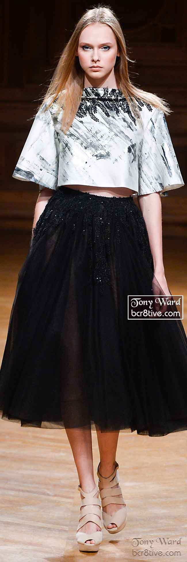 Mid Length Black Layered Skirt and Boxy Cropped Top