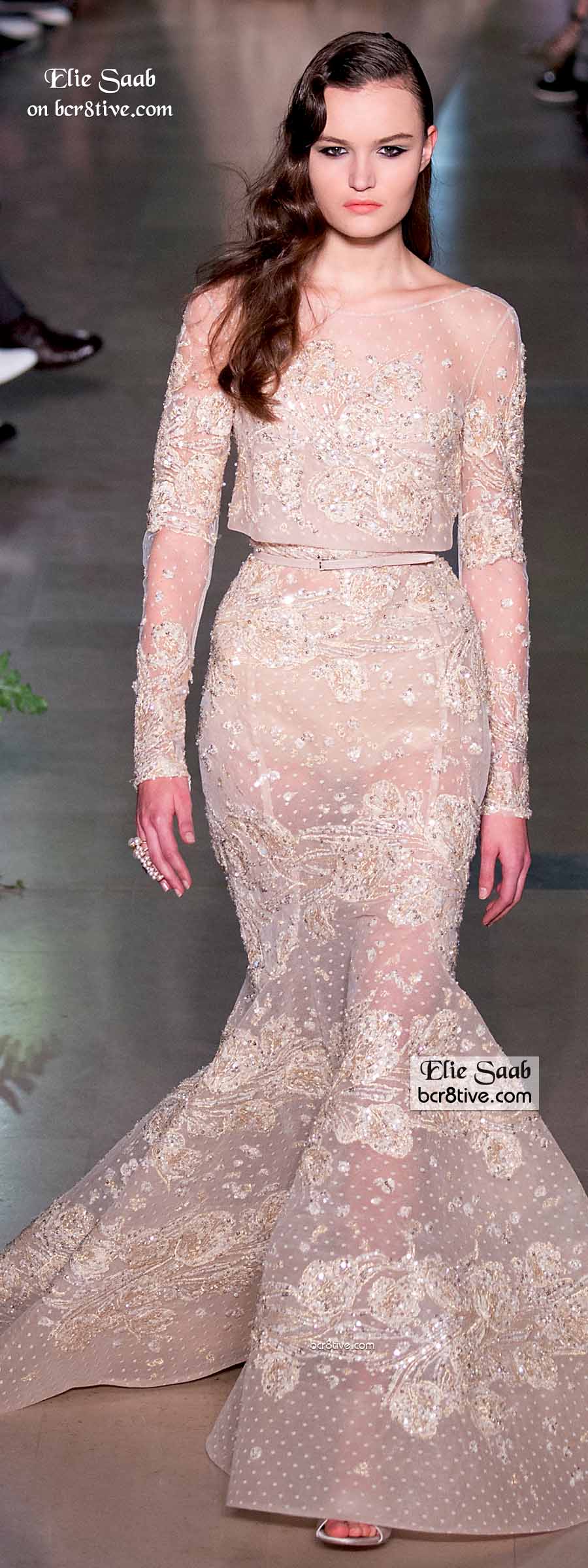 Elie Saab Spring 2015 Couture